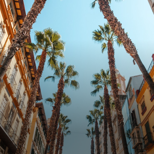 alquiler vacacional costa del sol