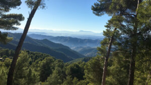 parques natural montes de malaga