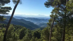 parques natural montes de malaga